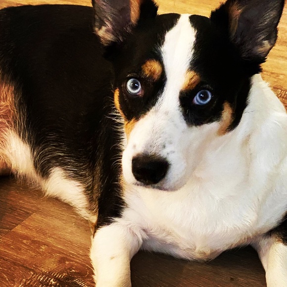 Meet your Posher, Christy - Picture 9 of 10